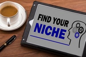 Find Your Niche. Then Get Rich.