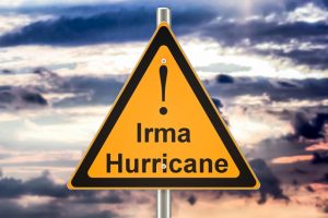 Hurricane Irma Creates Legal Chaos For Surrogates