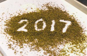 Happy New Year! ICYMI, 2017 Was A Mixed Bag For Marijuana