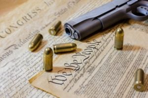 Gun and the US Constitution