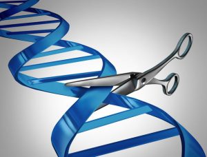 Federal Appeals Court Rules For Broad Institute In CRISPR Patent Case