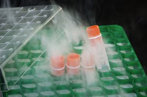 The Hot New Crime: Embryo Smuggling