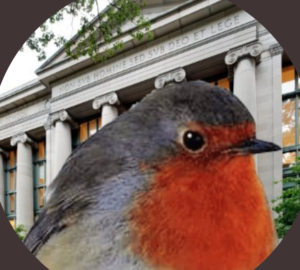 The Harvard Law School Bird Has A Twitter Account And He’s NOT Happy About The Food Situation