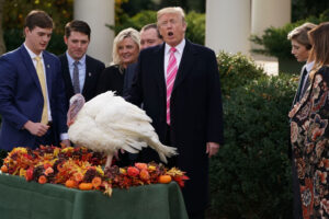 President Trump And First Lady Melania Hold National Thanksgiving Turkey Pardoning Ceremony