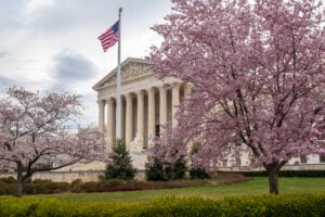Supreme Court and Cherry Blossoms