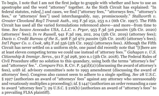 Judge Drops Amazing 700 Word Footnote Dedicated To Finding Proper Legal