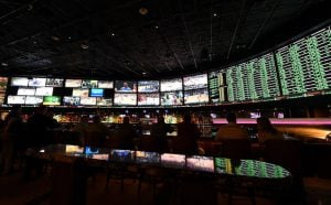 Mutual Fund Sports Betting Upends Federal Law and Traditional Investing