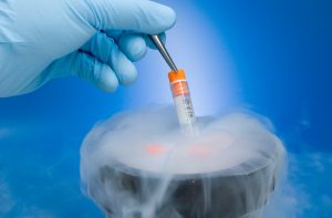 Embryo Cases Just Got More Confusing — And Custody Arrangements Way More Awkward