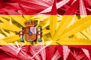 Spain flag cannabis