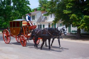 colonial-era-carriage-horses