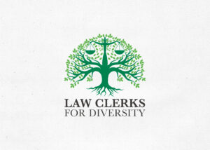 An Actual Program Designed To Increase Diversity In Federal Clerkships