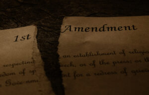 How The First Amendment Will Protect Us From Our Gun Crisis