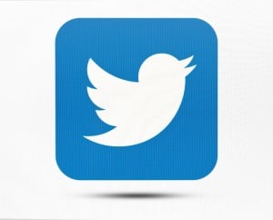 twitter bird