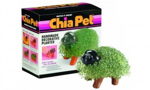 Merit-based compensation: the Chia Pet of Biglaw. Watch it grow!