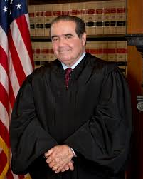 Scalia wiki