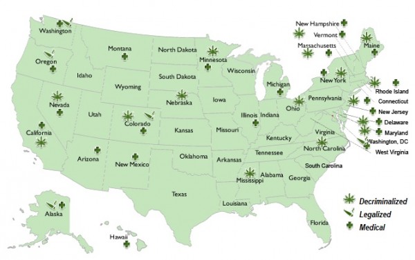 (Image via NORML)