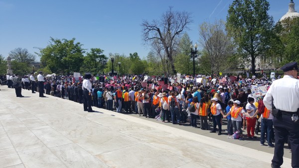 Protesters at the U.S. Supreme Court after arguments in United States v. Texas.