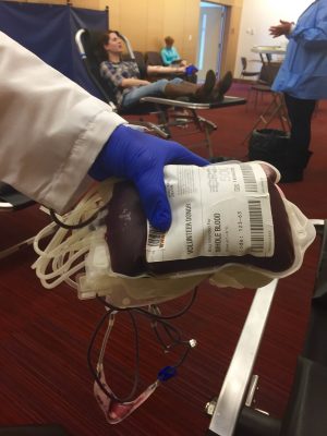 The bag of blood (click to enlarge).