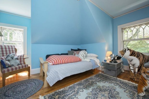 cat room