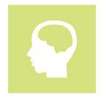 brain