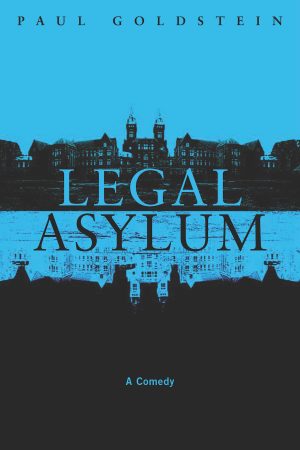 Legal Asylum by Paul Goldstein