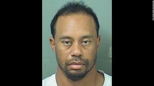 mug shot tiger woods