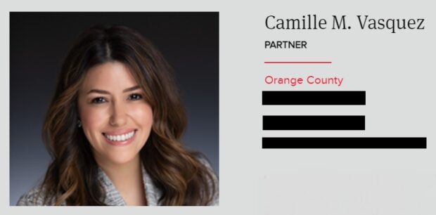 camille vasquez brown rudnick bio