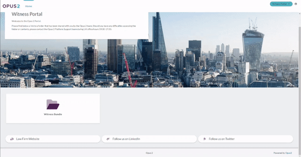 Investigations Witness Portal