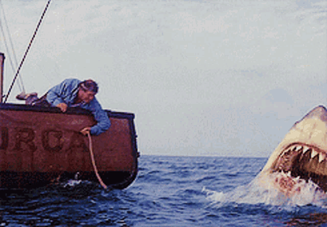 jaws-shark