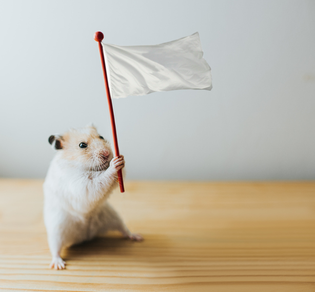 Biglaw Surrender Fallout Continues – Above the Law Biglaw Surrender Fallout Continues – Above the Law