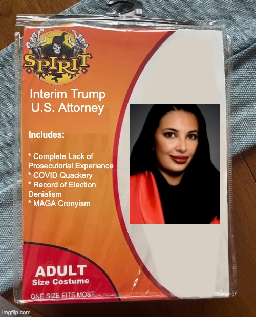 Judge Calls Out Trump Appointee For Cosplaying As Federal Prosecutor - Above the Law