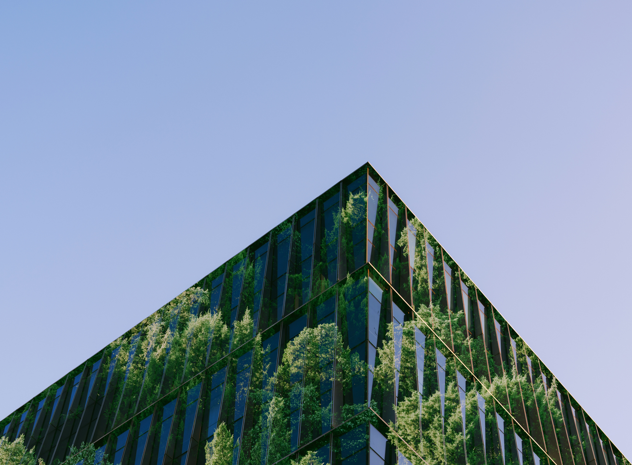 The Leadership Shifts That Drive Law Firm Growth